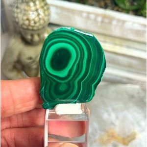 Polished Malachite Slice From the Congo